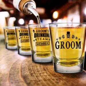 Groom and Groom's Drinking Team Member Glass Shot Glasses